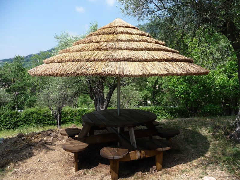 Slameny zahradny slnecnik