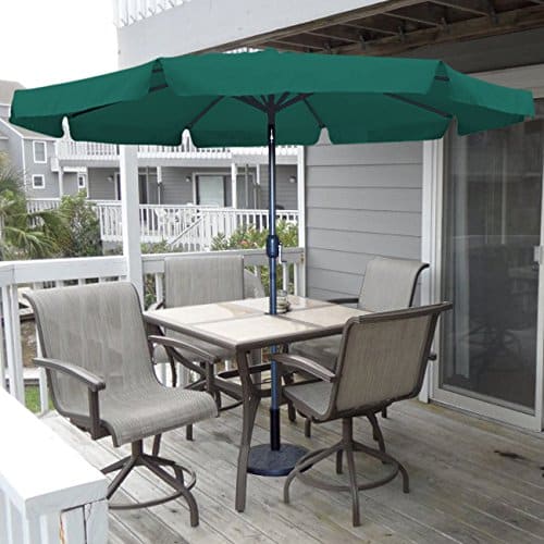 Zeleny zahradny slnecnik